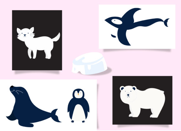 Download Arctic Animal Set Bundle&nbsp; - Premium Resources