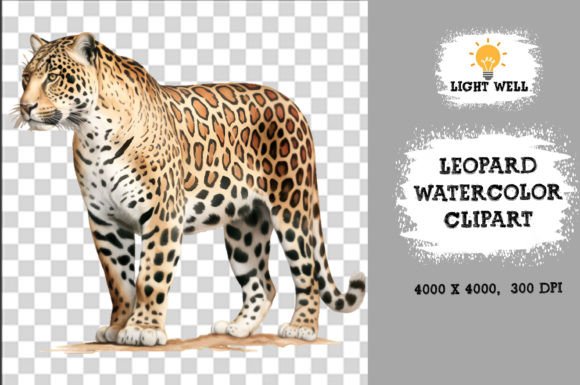 Download Cute Wildlife Leopard Watercolor Clipart - Wildlife Collection