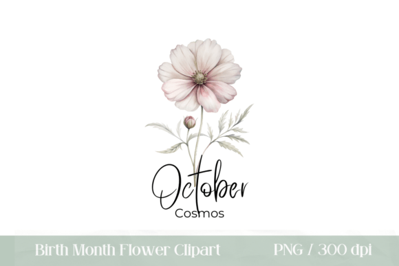 Download Birth Month Flower October Cosmos PNG - October Collection