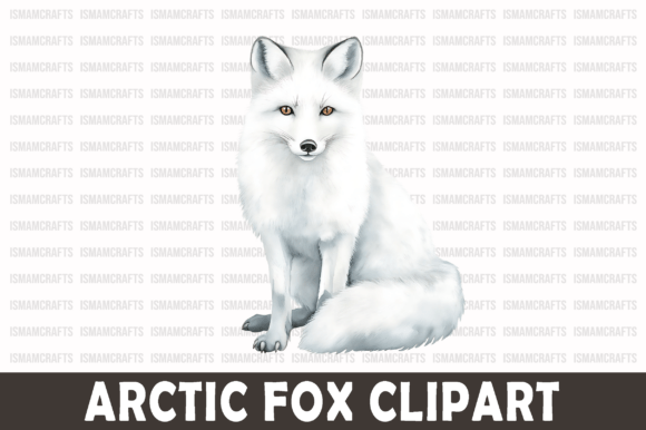 Download Arctic Fox Watercolor Clipart PNG - Premium Resources